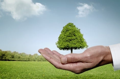 <strong>الأجندة الخضراء 2030</strong>